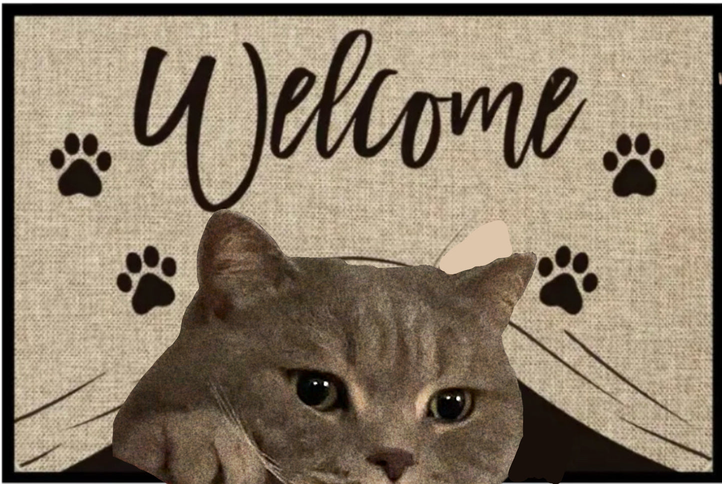 Cartoon Crystal Velvet Floor Mat Home