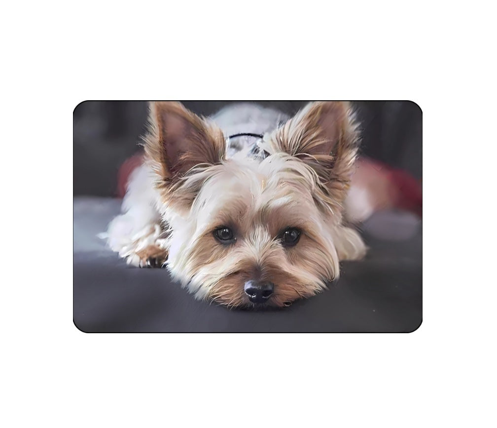Cartoon Crystal Velvet Floor Mat Home