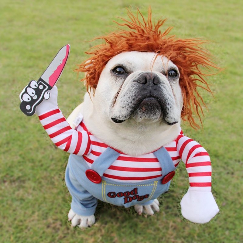 Halloween Pet Costume Killer Dog