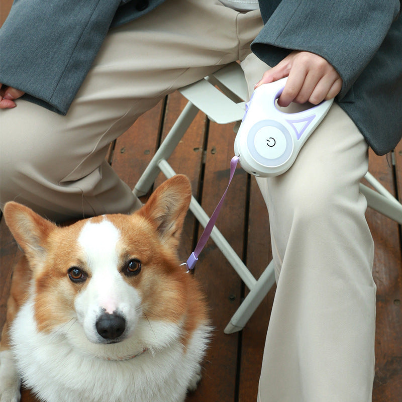 Dog Leash Retractable Leash And Dog Collar Spotlight Automatic Pet Dog Cat Traction Rope For Small Medium Dogs